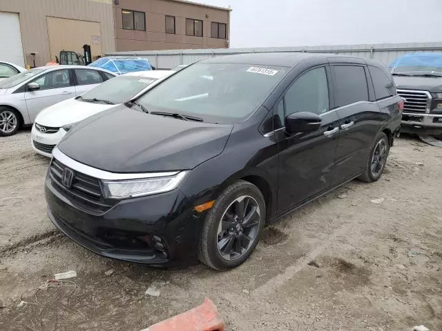 2022 Honda Odyssey Elite