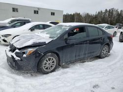 Salvage cars for sale from Copart Cookstown, ON: 2024 Toyota Corolla LE