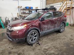 Salvage cars for sale at Ham Lake, MN auction: 2019 Honda CR-V EX