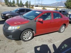 Salvage cars for sale from Copart Rancho Cucamonga, CA: 2010 Toyota Corolla Base