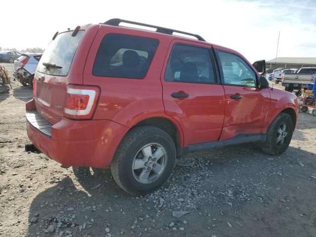 2009 Ford Escape XLT