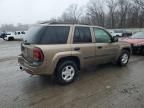 2003 Chevrolet Trailblazer