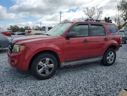 2010 Ford Escape XLT en venta en Riverview, FL