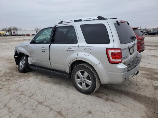 2010 Ford Escape Limited