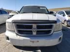 2008 Dodge Dakota Quad SLT