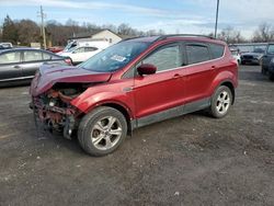 Run And Drives Cars for sale at auction: 2014 Ford Escape SE