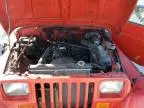 1994 Jeep Wrangler / YJ S