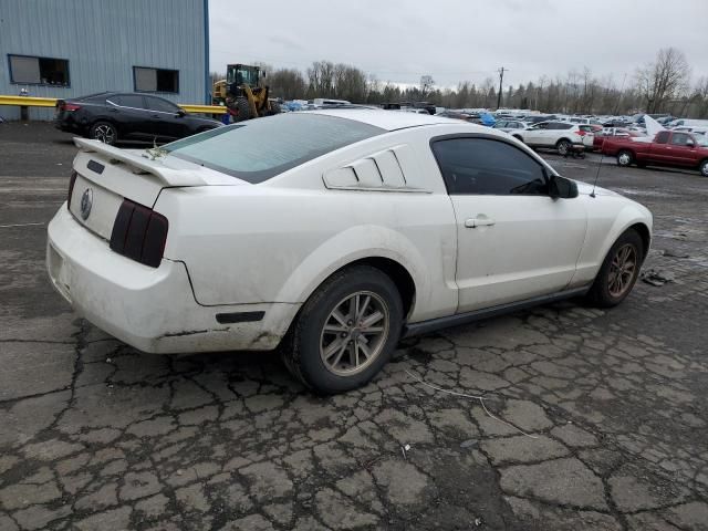 2005 Ford Mustang