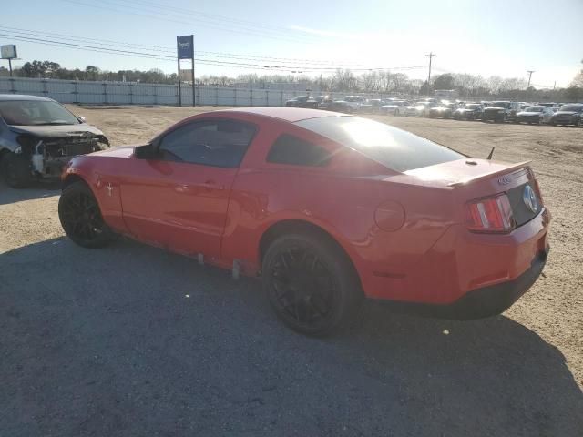 2010 Ford Mustang