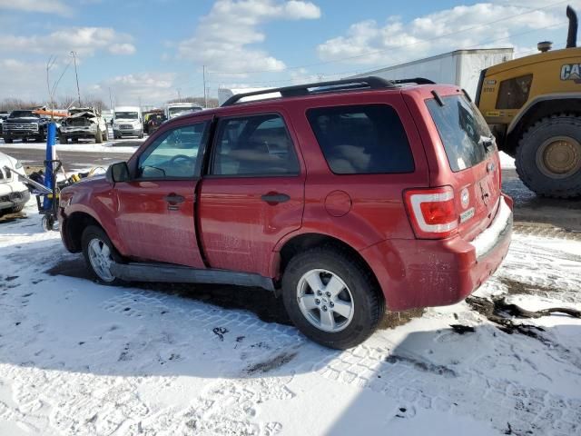 2010 Ford Escape XLT