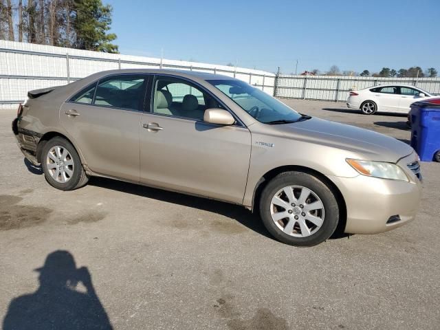 2008 Toyota Camry Hybrid