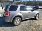 2010 Ford Escape Limited