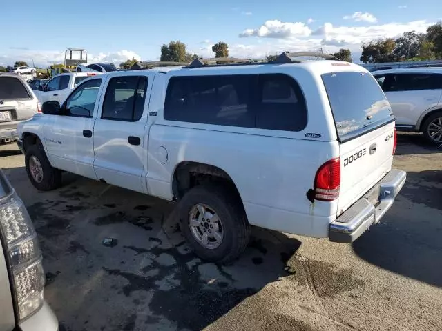 2001 Dodge Dakota Quattro