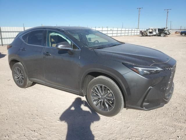 2025 Lexus NX 250 Base