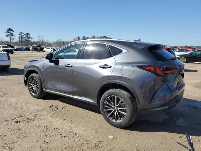 2023 Lexus NX 350