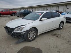 2010 Nissan Altima Base en venta en Louisville, KY