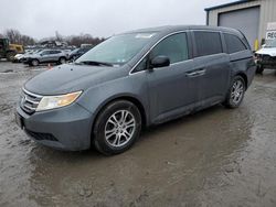 Honda Vehiculos salvage en venta: 2013 Honda Odyssey EXL