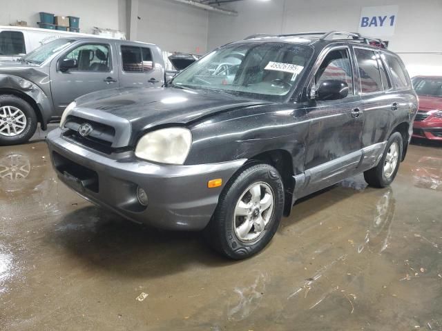 2005 Hyundai Santa FE GLS