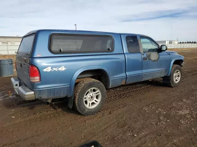 2004 Dodge Dakota SLT