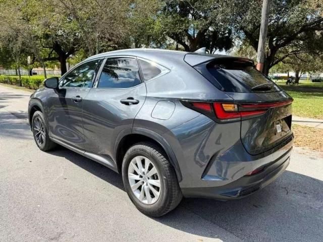 2024 Lexus NX 250 Premium