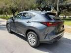 2024 Lexus NX 250 Premium