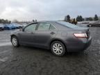 2011 Toyota Camry Hybrid