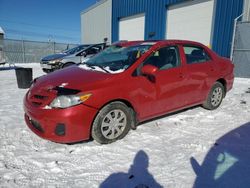 Salvage cars for sale at Elmsdale, NS auction: 2013 Toyota Corolla Base