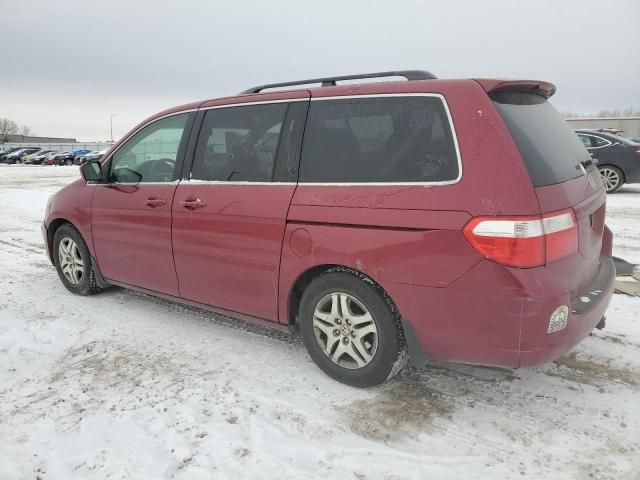 2005 Honda Odyssey EXL