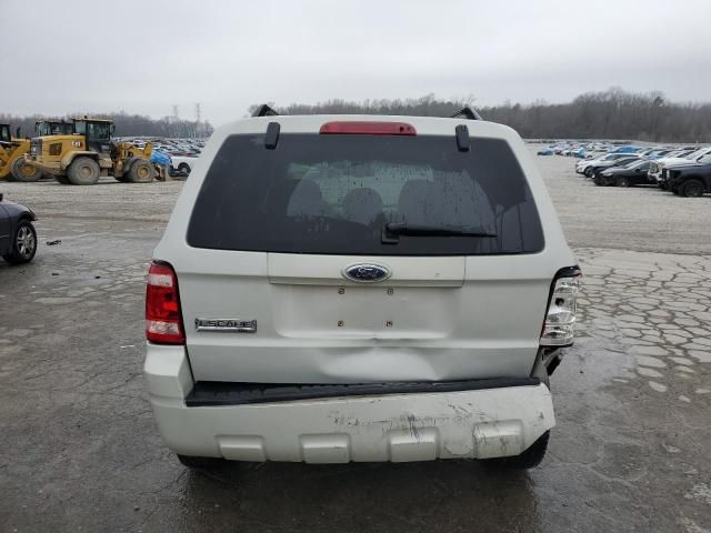 2008 Ford Escape XLT