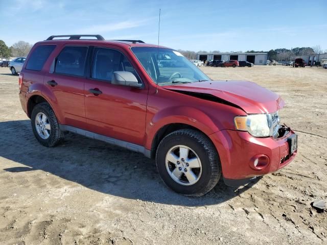 2009 Ford Escape XLT