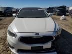 2014 KIA Cadenza Premium