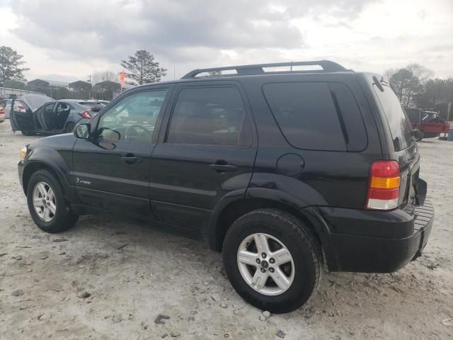 2007 Ford Escape HEV