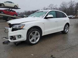 Salvage cars for sale at Ellwood City, PA auction: 2011 Audi Q5 Premium Plus