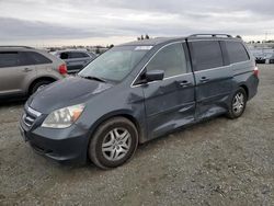 Salvage cars for sale at Antelope, CA auction: 2005 Honda Odyssey EX