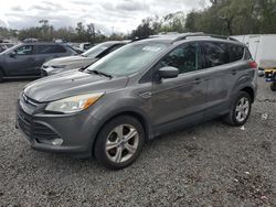 Salvage cars for sale at Riverview, FL auction: 2013 Ford Escape SE