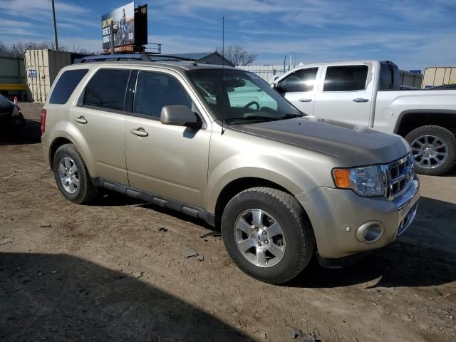 2011 Ford Escape Limited