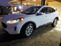 Salvage Cars with No Bids Yet For Sale at auction: 2020 Ford Escape SE