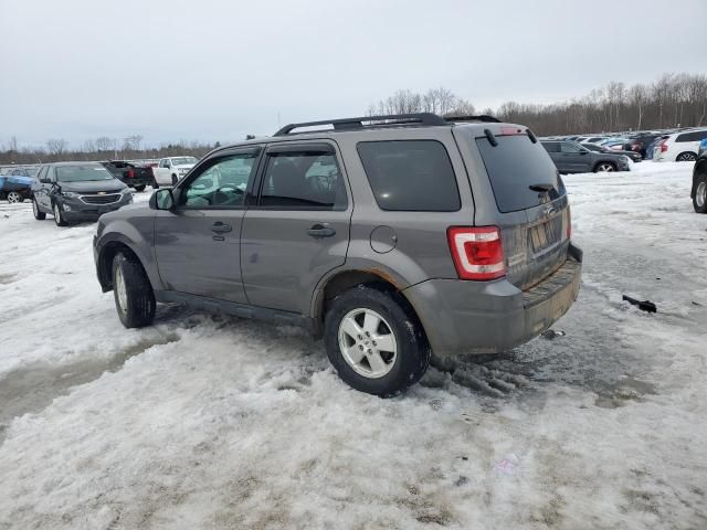 2012 Ford Escape XLT