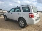 2012 Ford Escape XLS