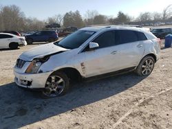 Cadillac salvage cars for sale: 2010 Cadillac SRX Premium Collection