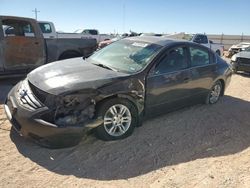 Nissan salvage cars for sale: 2010 Nissan Altima Base