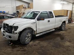 2013 Ford F150 Super Cab en venta en Ham Lake, MN