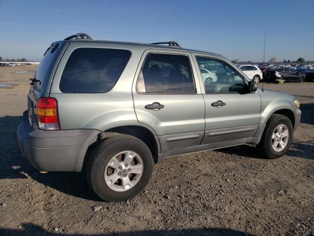 2006 Ford Escape XLT