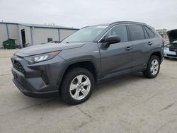 Clean Title Cars for sale at auction: 2020 Toyota Rav4 LE