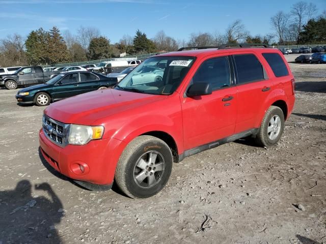 2009 Ford Escape XLT