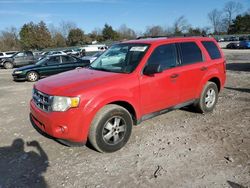 Clean Title Cars for sale at auction: 2009 Ford Escape XLT