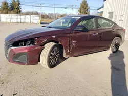 Salvage cars for sale at Finksburg, MD auction: 2025 Nissan Altima SV