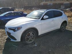 Salvage cars for sale at Baltimore, MD auction: 2023 Alfa Romeo Stelvio TI