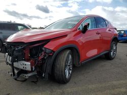 Salvage cars for sale at Pennsburg, PA auction: 2023 Lexus NX 350