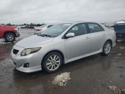 Toyota salvage cars for sale: 2010 Toyota Corolla Base